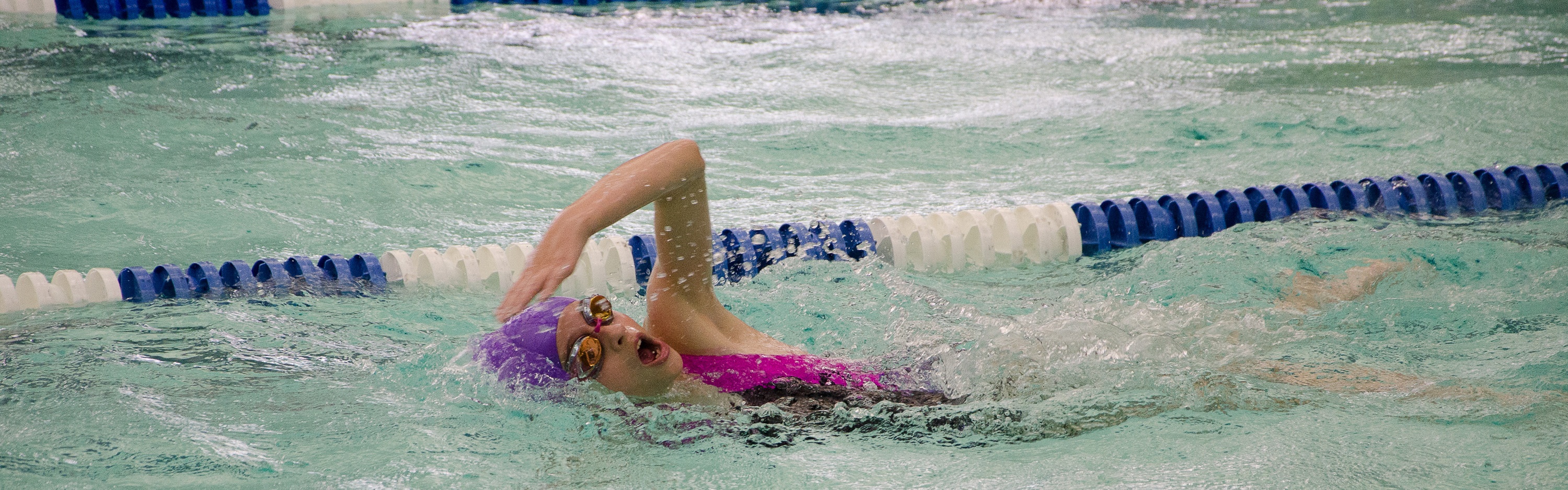 competitive swim camp