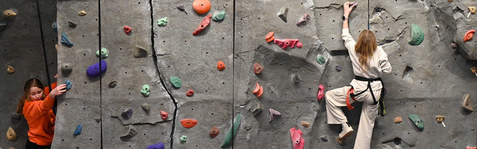 Little Whippers Climbing Club