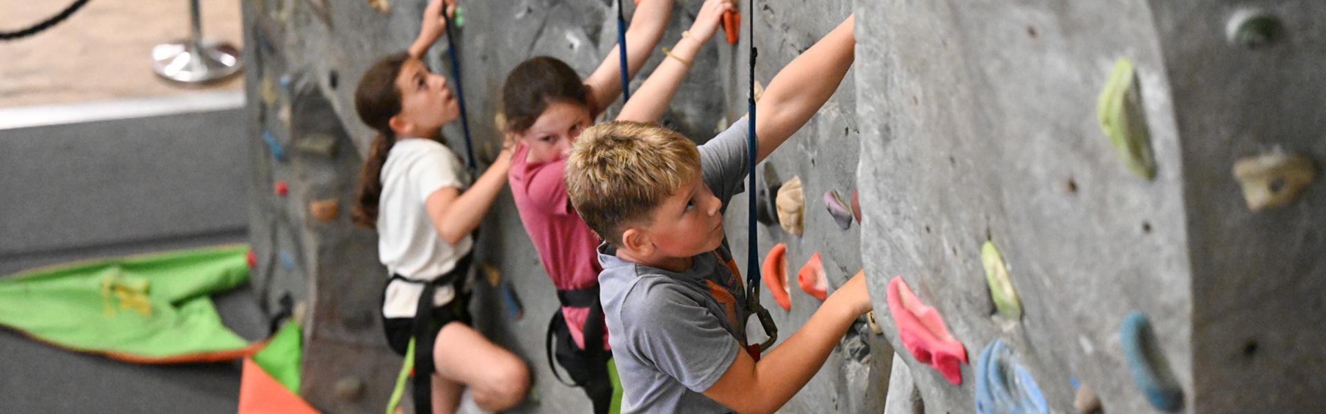 Little Whippers Climbing Club